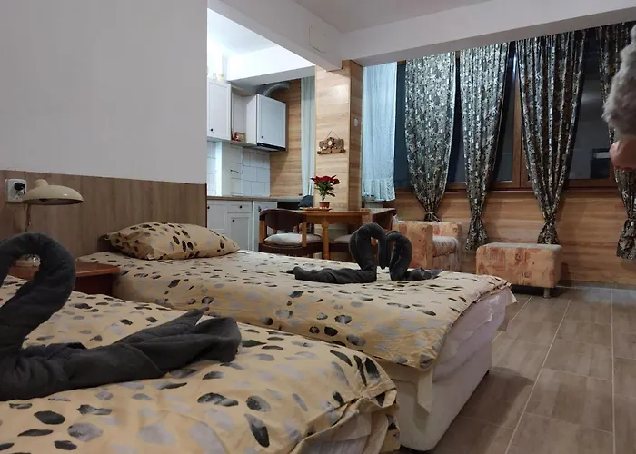 студио тони ブルガス